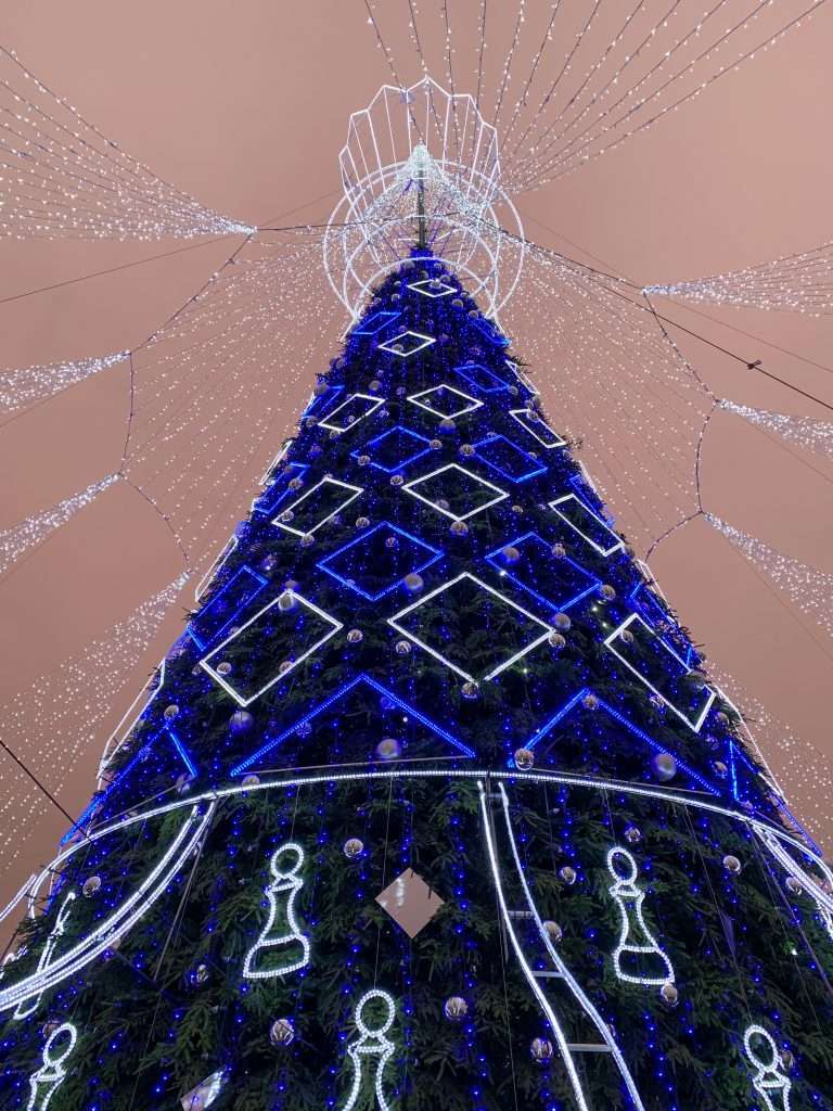Image shows the view from the bottom of the 2019 Vilnius Christmas tree looking upwards.