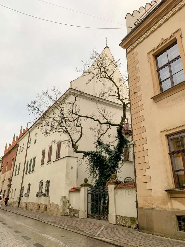 Image shows a scene of Krakow Old Town, one of the best things to see in Krakow