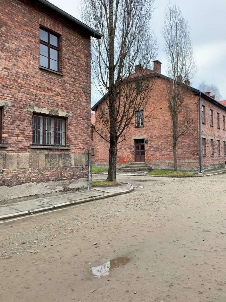 Image shows a scene of buildings at Auschwitz