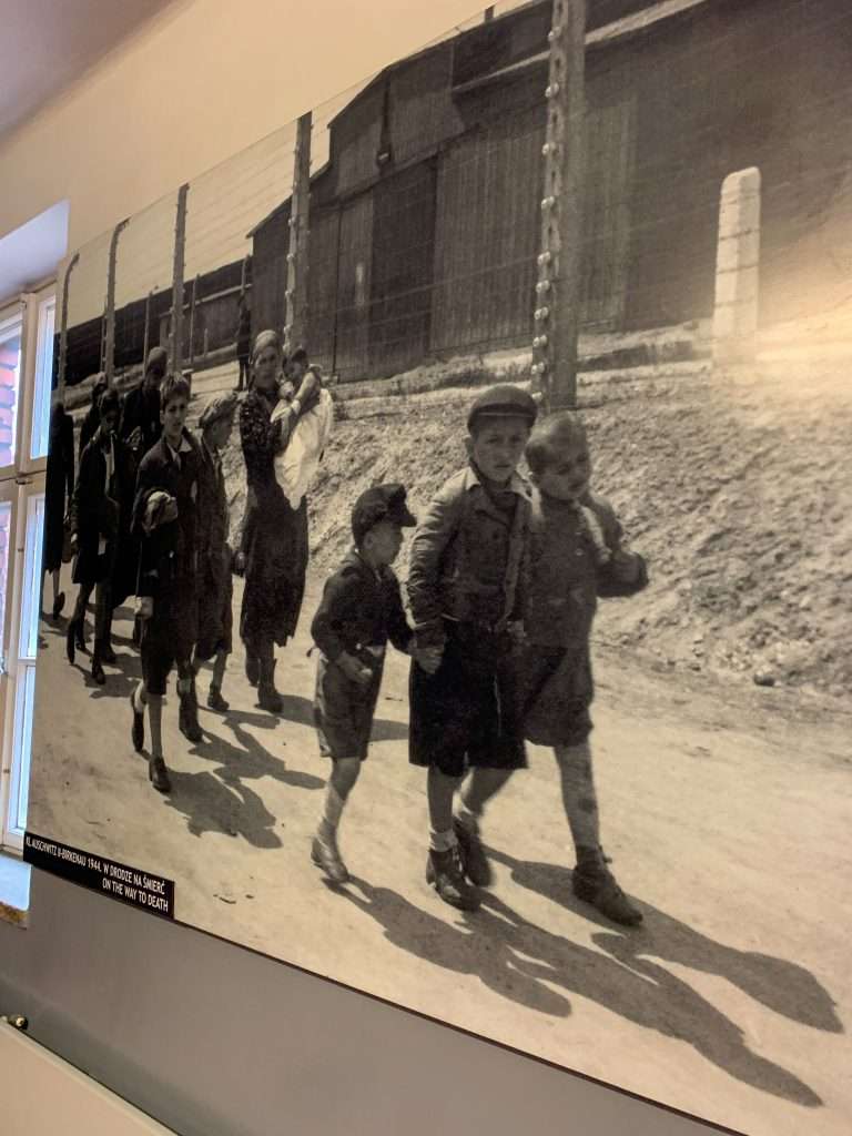 Image shows photo exhibits on display at Auschwitz