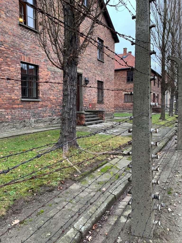 Image shows the unforgettable view of barbed wire fencing at Auschwitz I