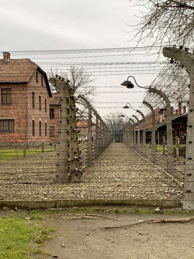 Image shows the barbed wire you will not forget when taking a visit to Auschwitz.