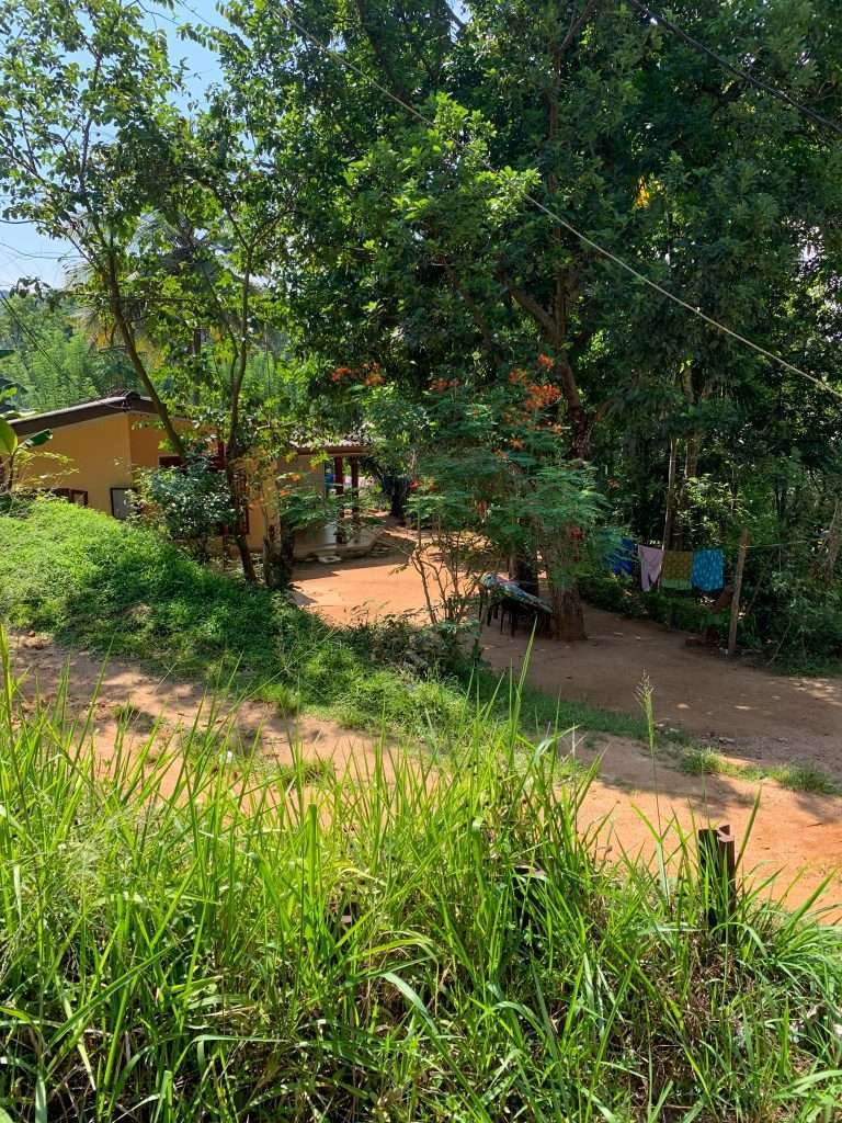 Image shows the view from a Sri Lankan train of the surrounding countryside. Travel by train is one of the best things to do in Sri Lanka 