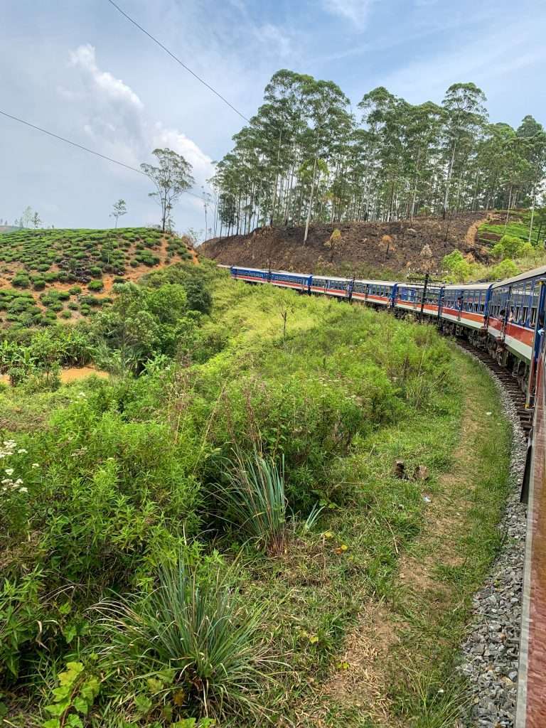 Image shows an iconic view of a Sri Lankan train. Travel by train is one of the best things to do in Sri Lanka 