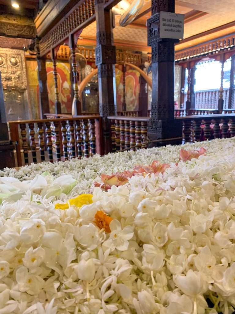 Image shows an inside view of flowers inside the Temple of the Tooth in Kandy, one of the best thins to see in Sri Lanka 