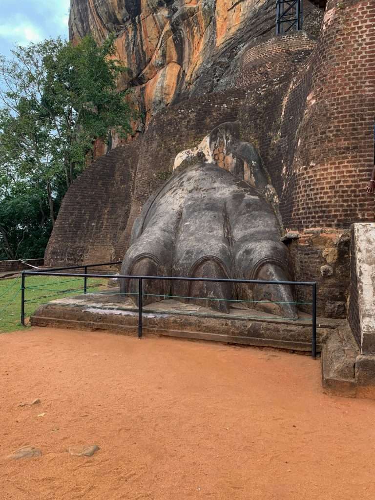 Image shows the left paw of a lion at Sigirya, also known as Lion Rock. A visit here is one of the best things to do in Sri Lanka  