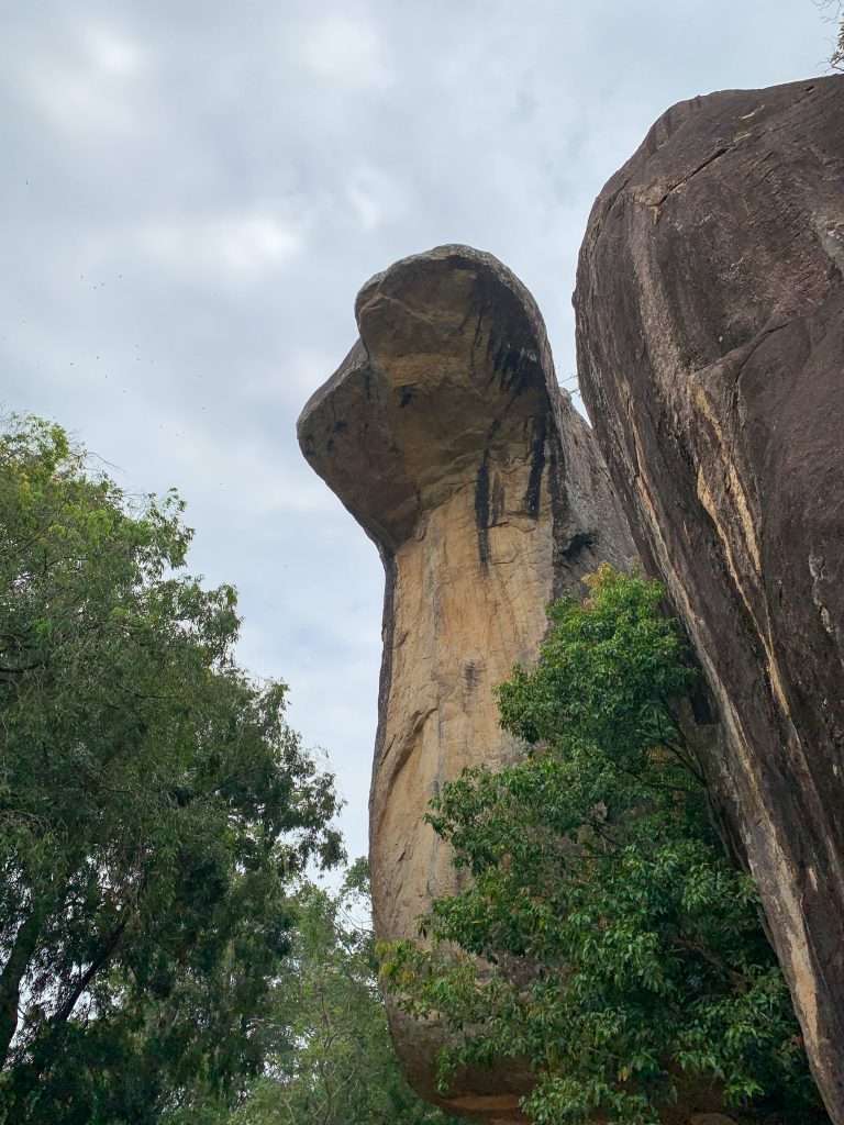 Image shows a rock in the shape of a snake at the Rock Fortress at Sigirya. A visit here is one of the best things to do in Sri Lanka  