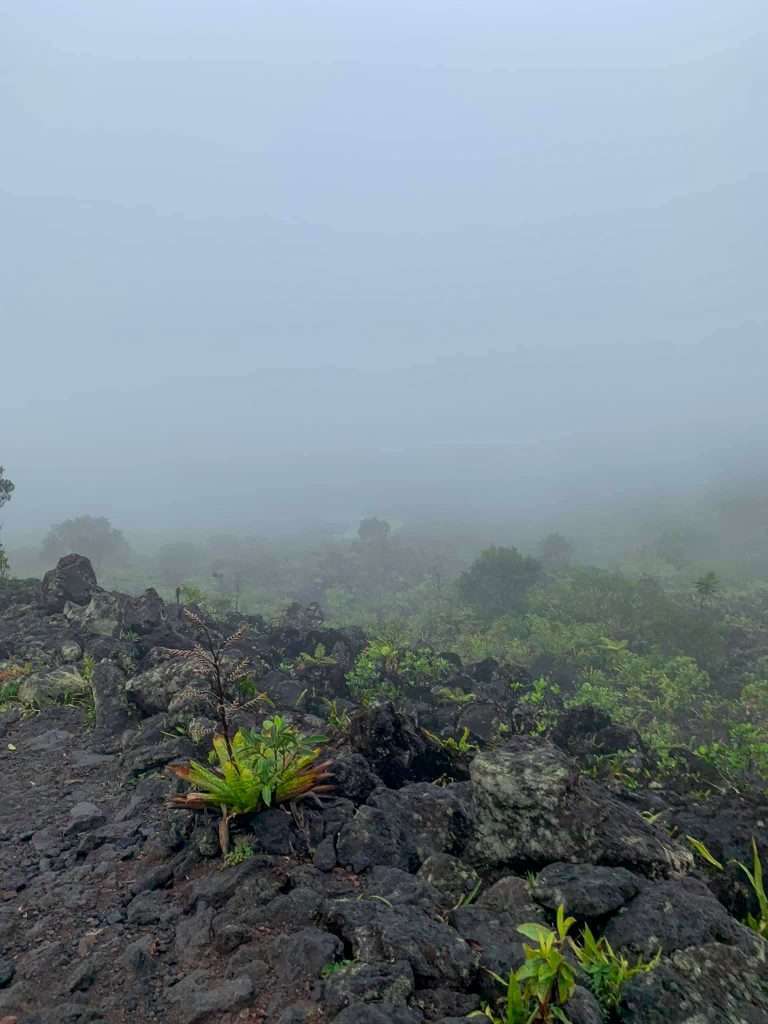 Image shows a view of the old lava from the Arenal volcano although the mist is low and the view limited!