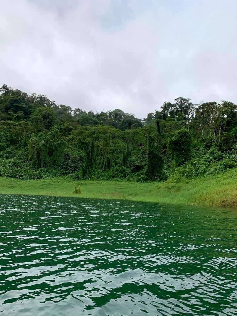 Image shows a view of Arenal Lake surrounded by deep green vegetation. 