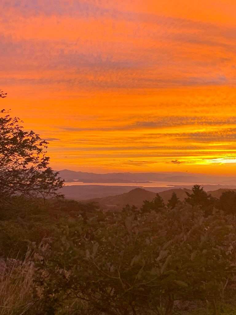 A view over the Monteverde Cloud Forest Reserve at sunset. Vegetation is visible in the foreground with a deep orange colour dominating the setting sun in the background.