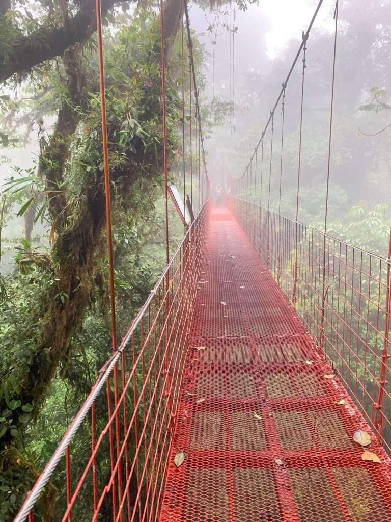 Image shows a view of one of the hanging bridge in the Monteverde Cloud Forest Reserve, Costa Rica, a must see when in the country.
