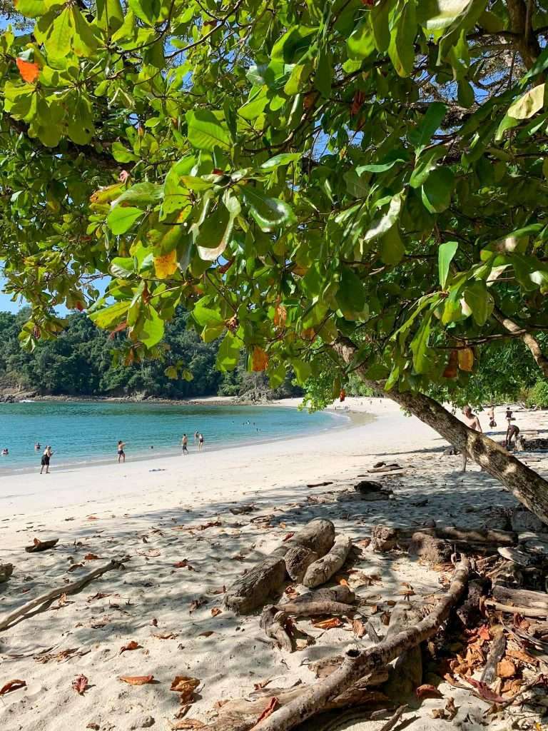 Image shows part of the beautiful coastline, a highlight of Costa Rica 