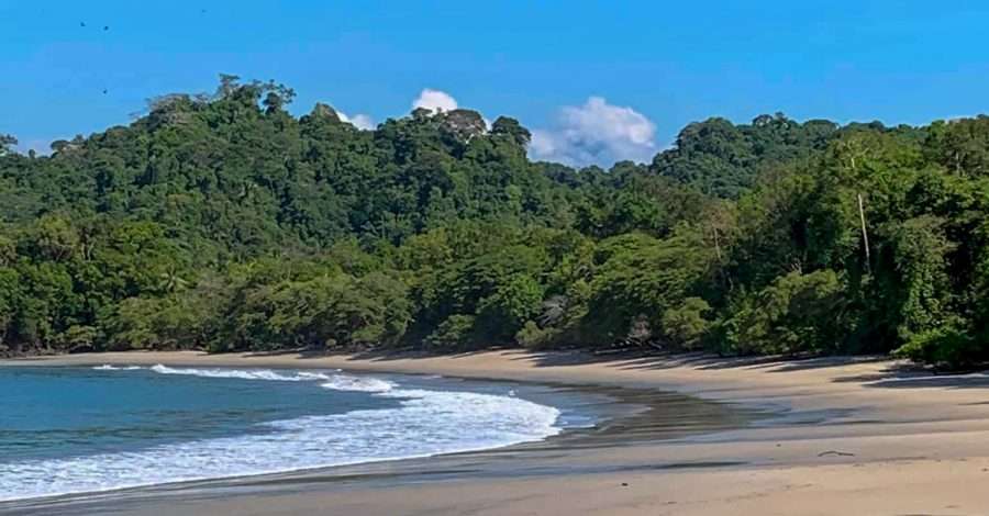 A view of one of the beaches within the Manual Antonio National Park in Costa Rica. Golden sand meets the blue sea and white waves. Vegetation is visible in the background.