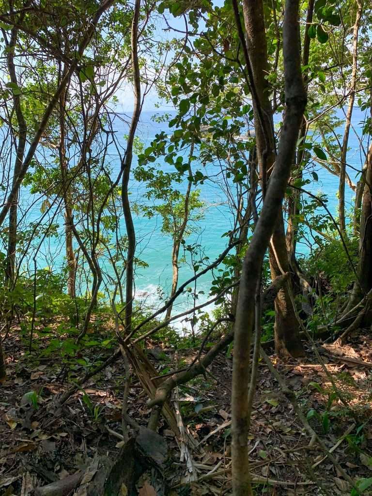Image shows a view of the ocean through thick bush in the Manuel Antonio National Park, a must see during any trip to Costa Rica 