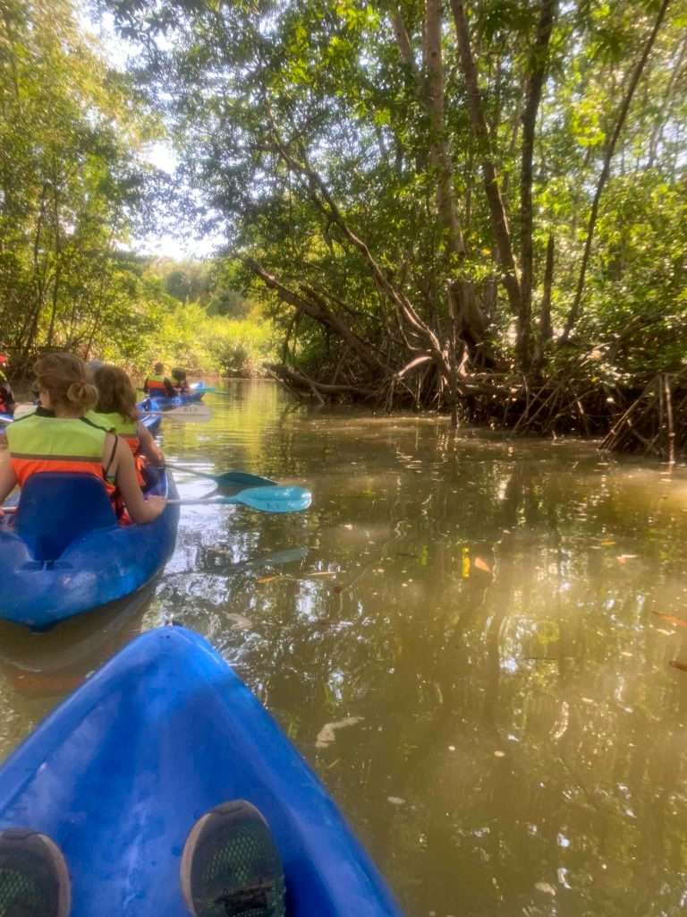 Image shows kayakers in the mangrove swamps in the the Manuel Antonio National Park. Kayaking is definitely one of the highlights of Costa Rica