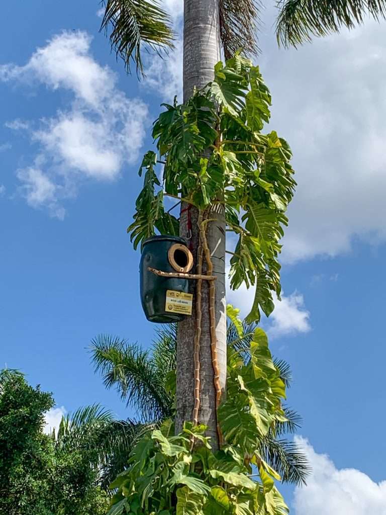 Image shows a nesting box for scarlet macaws 