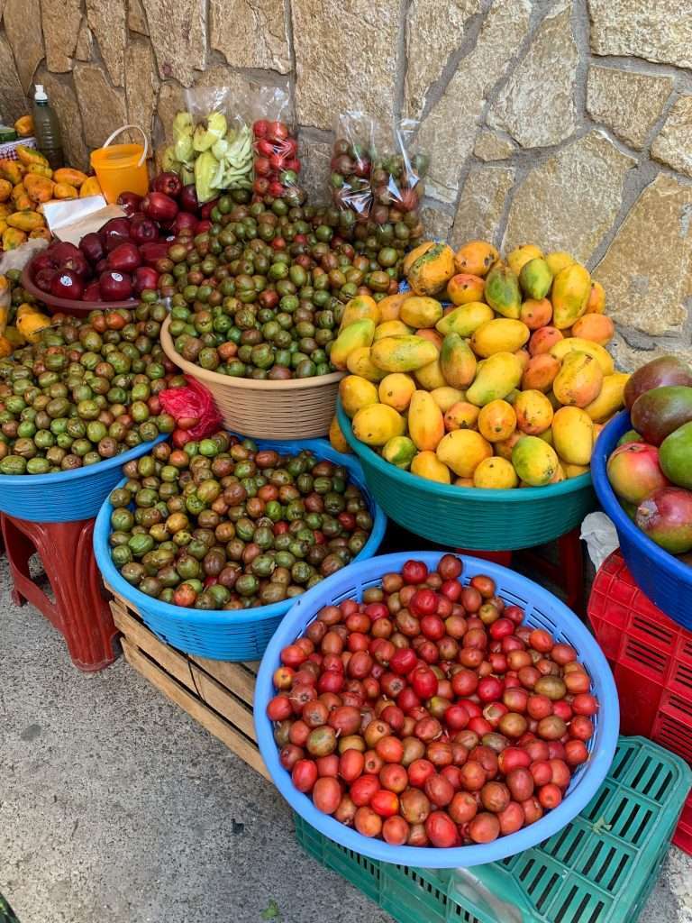 A selection of fresh fruit on display at the market in Copan, Honduras. Plums and mangos are among the fruit on sale. 