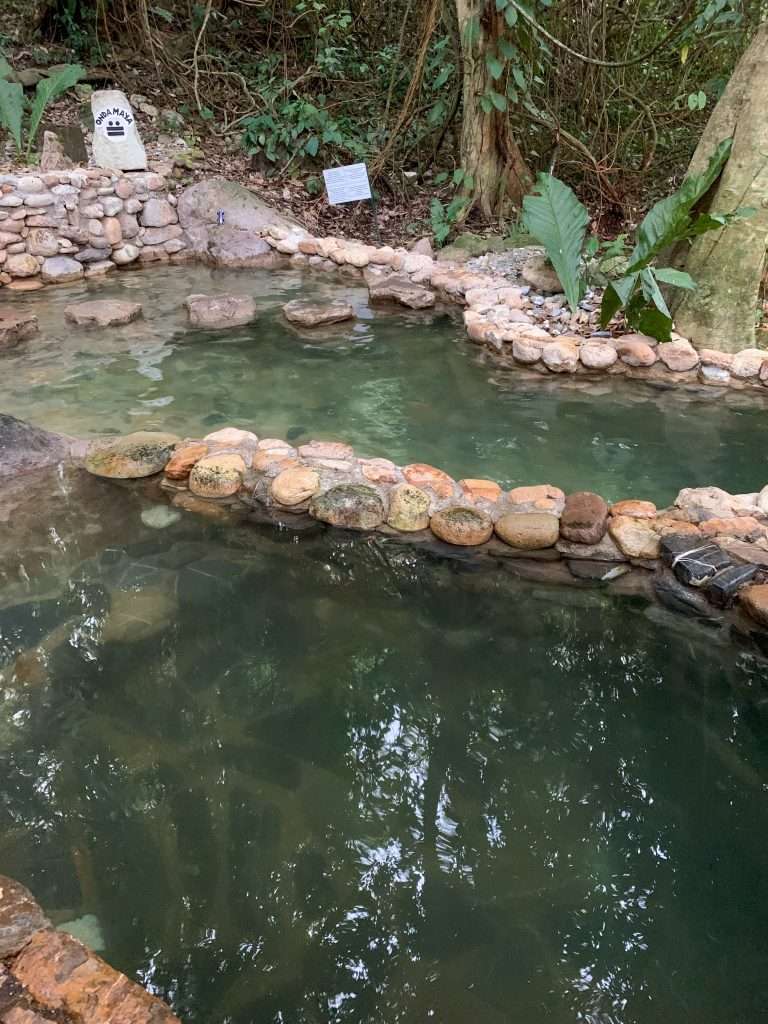 Some of the hot pools at the Luna Jaguar Hot Springs are visible. They are surrounded by stones and vegetation. 