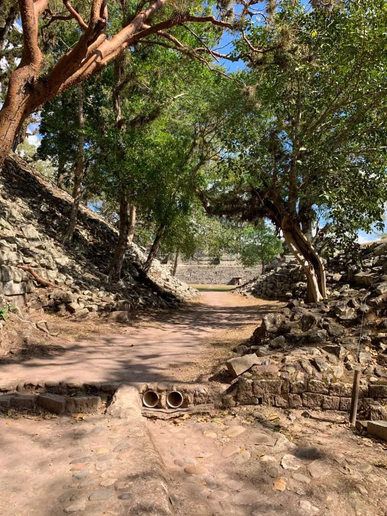 Image shows a view of the Mayan Ruins of Copán in Honduras