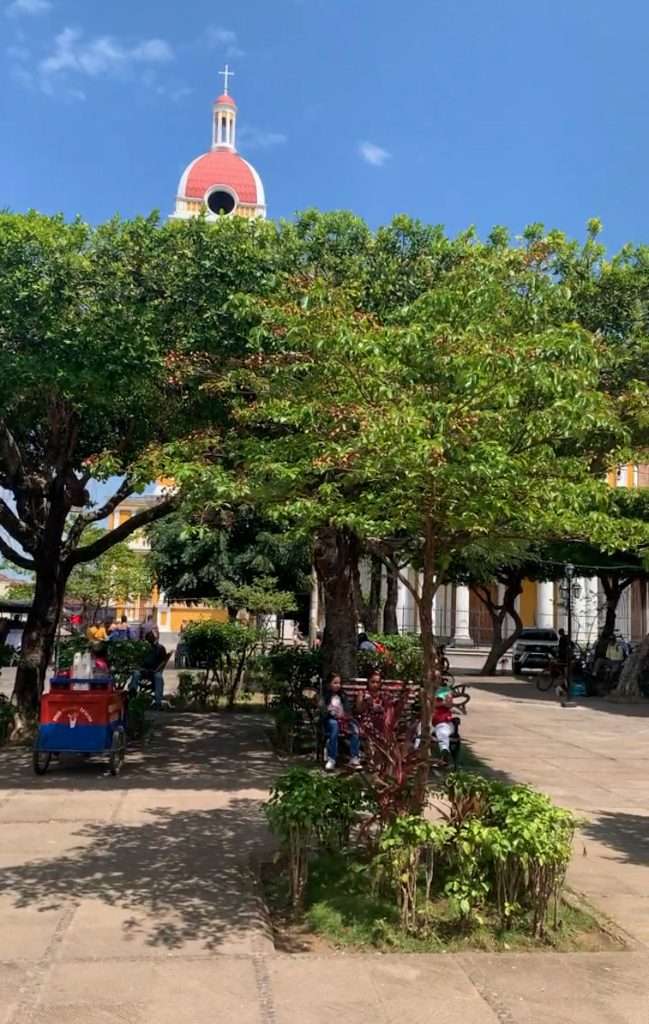 Some of the trees in Granada Nicaragua's Central Park are visible in the image as is the top of the Cathedral.