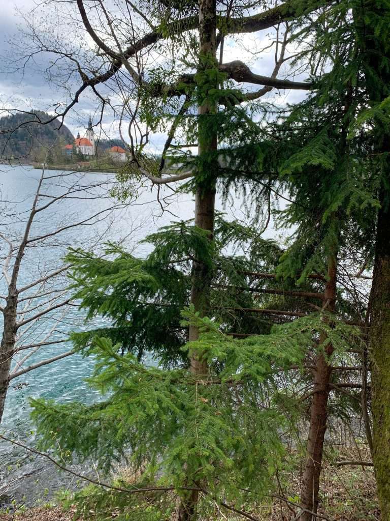 A view of Lake Bled taking while walking around the lake, one of the things to do whilst on a day trip to Lake Bled
