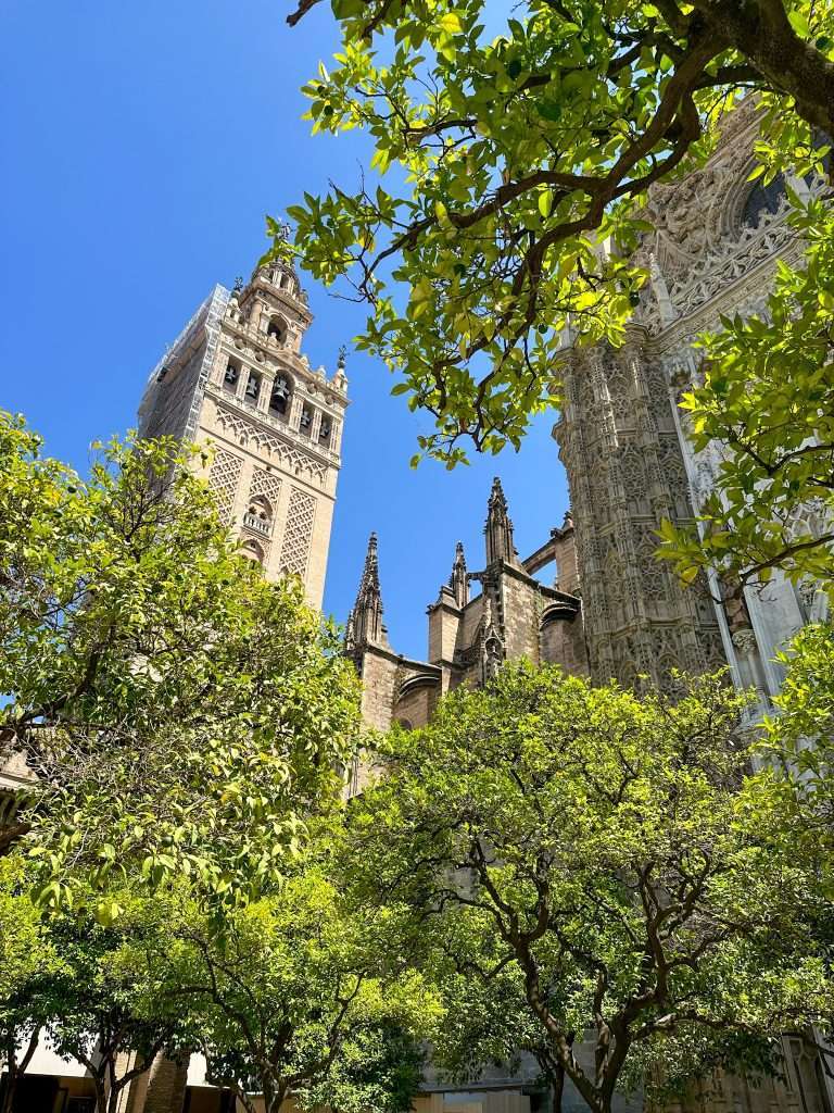 Image shows a view looking up to the Giralda tower in Seville Spain 
