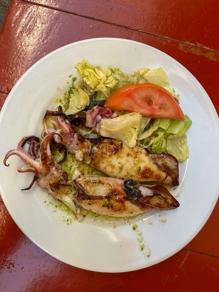 Image shows a plate of fried baby squid, part of a tapas selection. Eating tapas is one of the best things to do in Seville. 