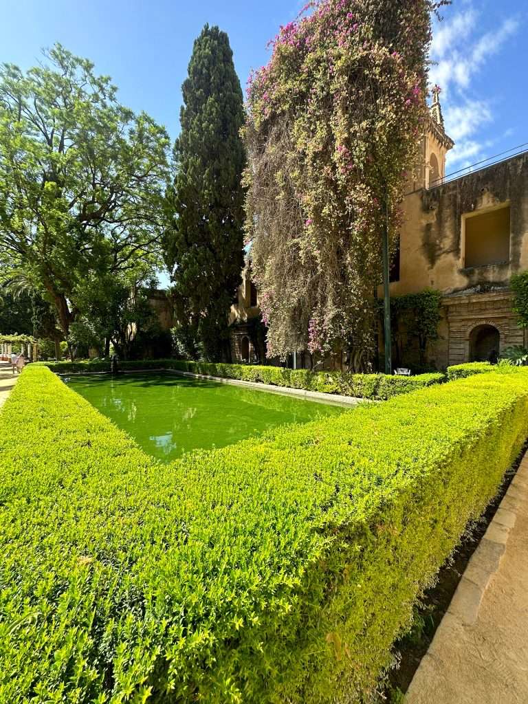 Image shows a garden and pond within the grounds of the Royal Alcázar