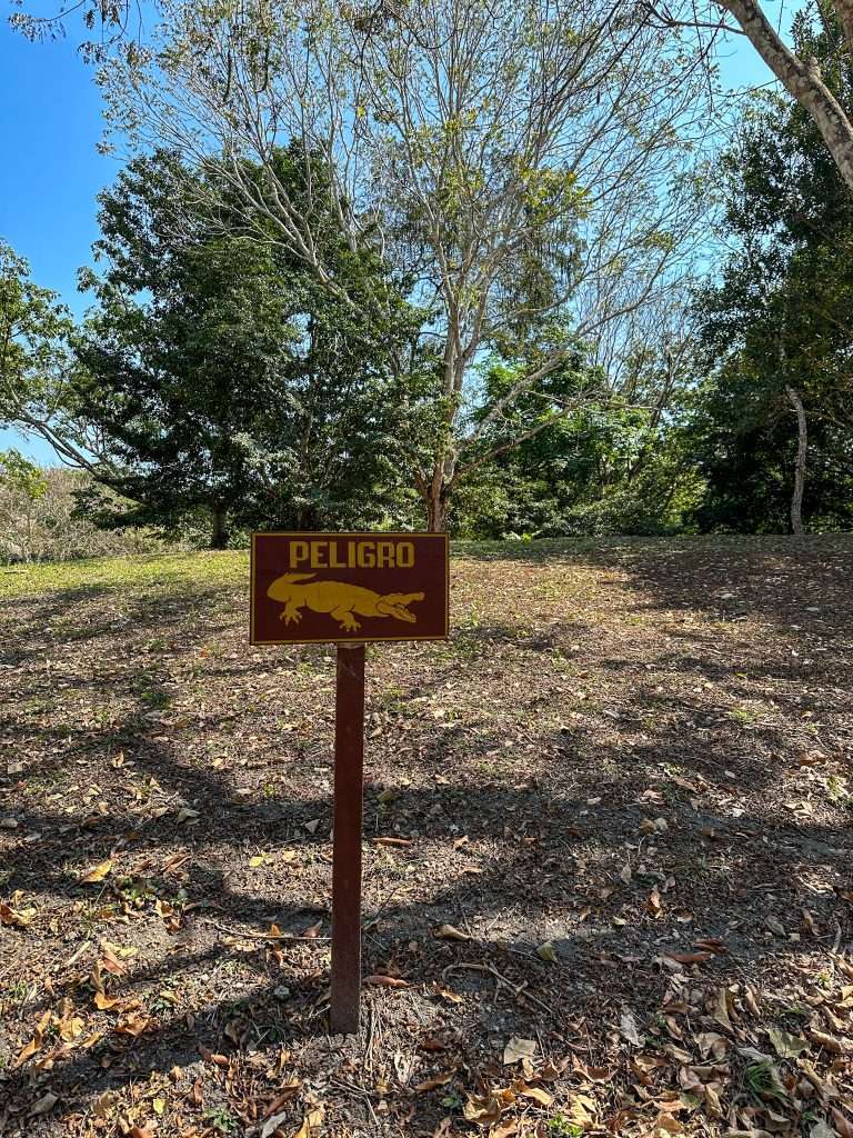 Image shows a sign at Tikal warning visitors about the presence of crocodiles 