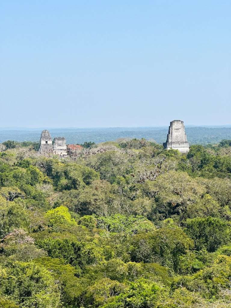 Image was taken from the top of Temple IV at Tikal and shows a view across the jungle and toward 3 other temples. 