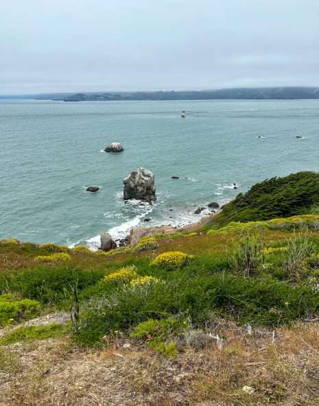 A view over the rocky San Francisco coastline as seen from the Lands End Trail. Low level coastal vegetation is visible in the foreground whilst various rocks and white tipped waves can be seen in the rest of the image.