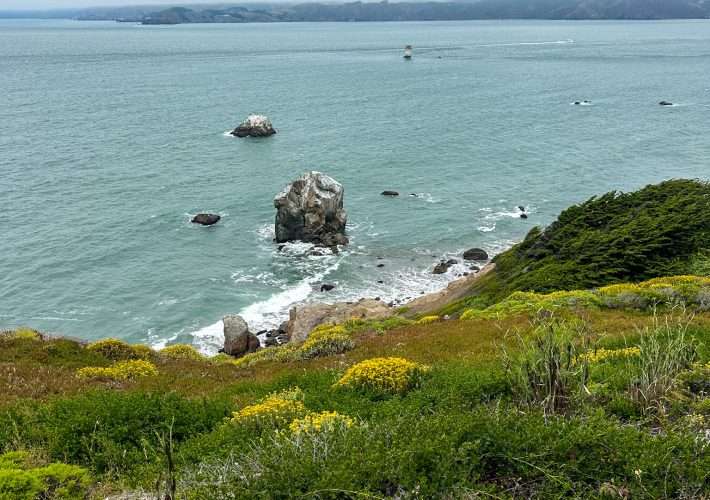 A view over the rocky San Francisco coastline as seen from the Lands End Trail. Low level coastal vegetation is visible in the foreground whilst various rocks and white tipped waves can be seen in the rest of the image.