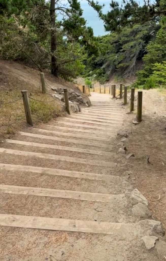 Image shows wooden steps on the Lands End Trail. The image is taken from part way down the steps with a view of the Pacific Ocean in the distance.