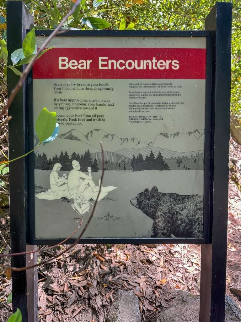 Image shows a signboard about bear Encounters and telling hikers what to do in the event they encounter a bear in Yosemite.
