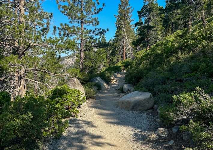 The view on the Echo Lakes Trail in California. Green trees, a clear blue sky and a dry, rocky pathway are all visible in this image.