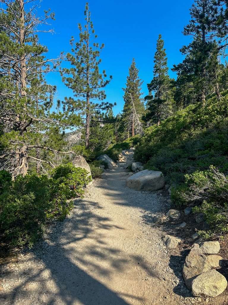 Part of the Echo Lakes Trail as it makes its way around Lower Echo Lake. There are many trees and small shrubs seen during the hike.