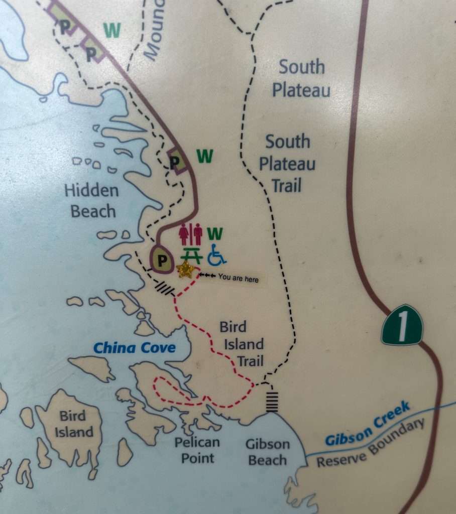 Image shows a map of Bird Island Trail along with a "You are here" marker.