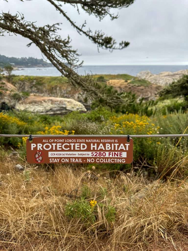 A sign declaring that all of Point Lobos State Natural Reserve is protected habitat and warning visitors to stay on the trail or risk a fine. 