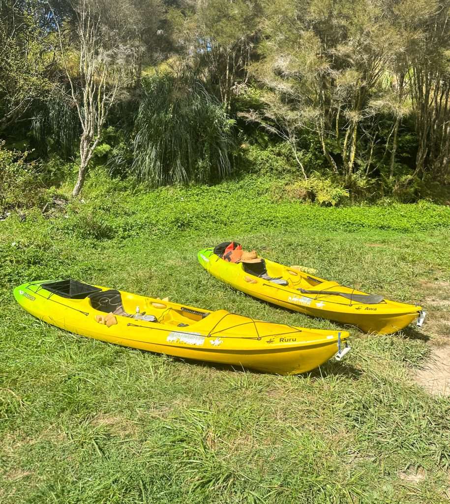 Two bright yellow kayaks rest on land whilst the kayakers take a break from kayaking on Lake Karapiro in New Zealand. 