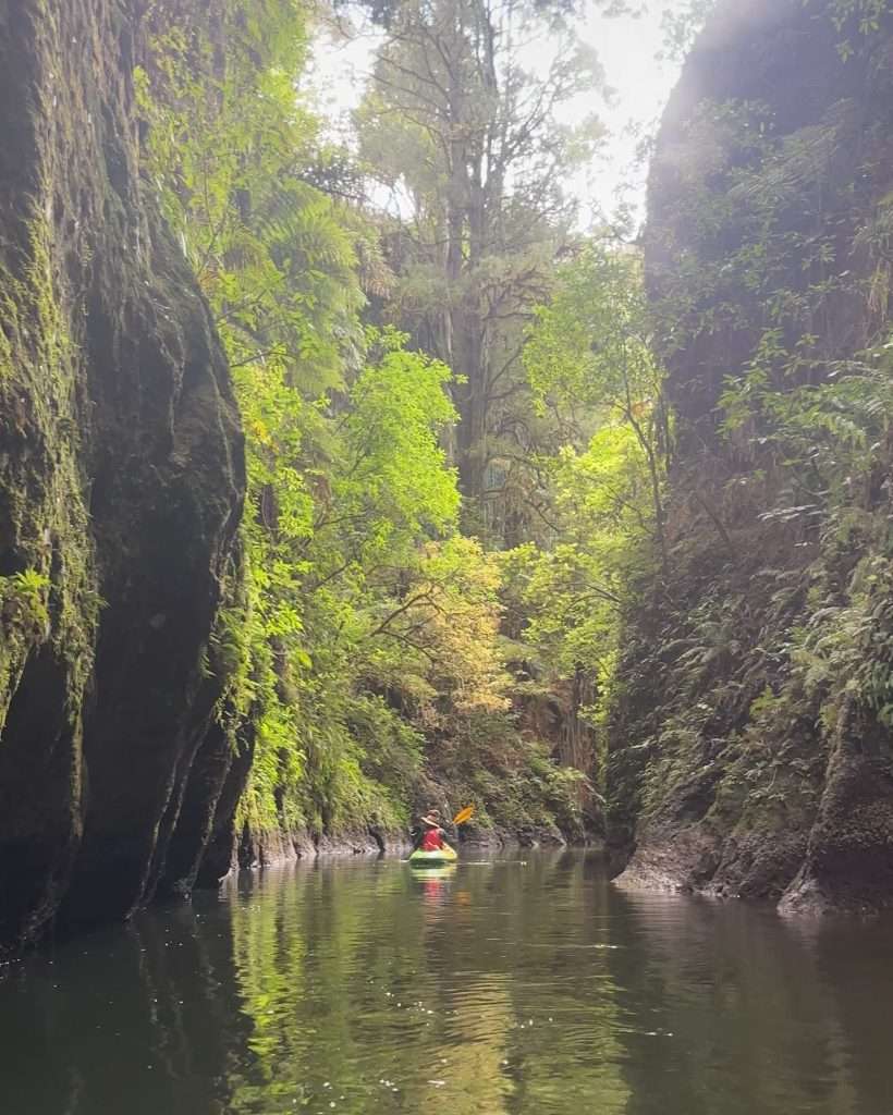 A single kayaker can be seen floating in his kayak along the Pokaiwhenua Stream ahead of returning to Lake Karapiro. He is surrounded by steep walls of the canyon that are covered in native New Zealand vegetation.