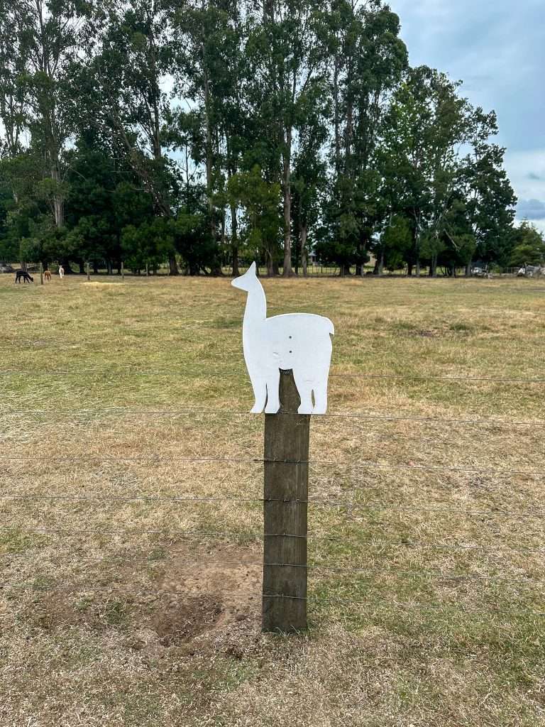 A wooden image of a white alpaca sits atop a fence post at the Cornerstone Alpaca Farm.