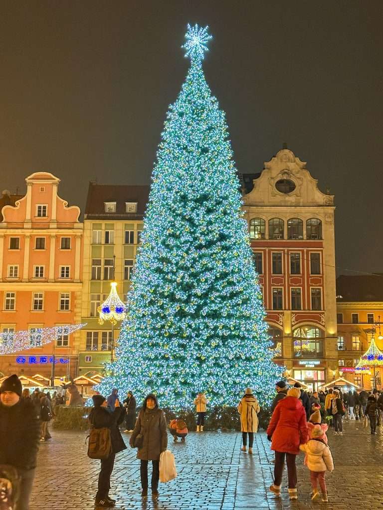 The Christmas tree at the Wroclaw Christmas markets takes centre stage in the Old Town. A row of 3 pastel coloured buildings is visible in the background with market visitors visible in the foreground. The Christmas tree is alight with hundreds of Christmas lights.
