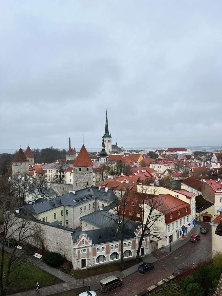 View over Tallinn from the Patkuli Viewing Platform. 7 medieval brick towers are visible with their cone shaped terracotta coloured roofs. Several church spires are also visible as are the red and black roofs of the old town buildings.
